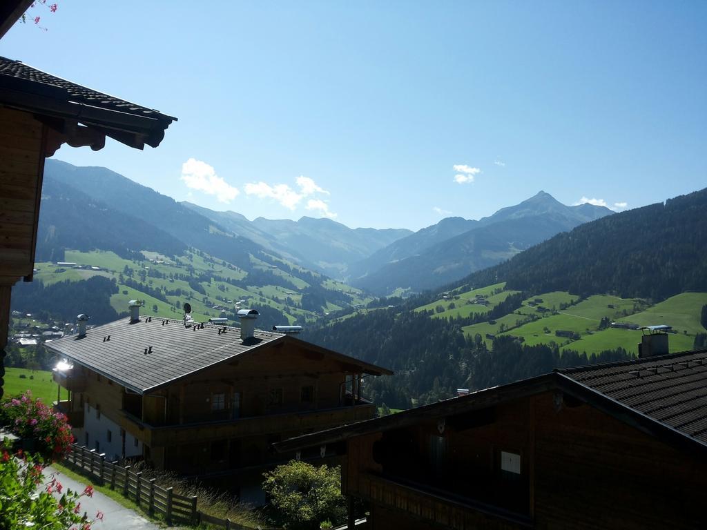 Alpbach 646 Apartment Cameră foto