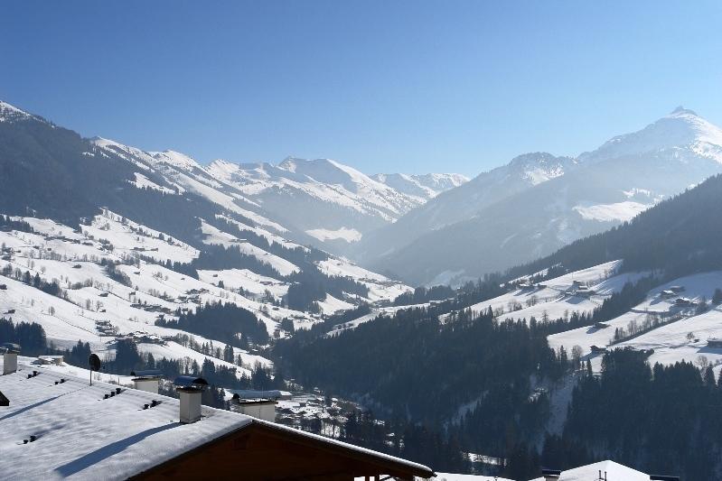 Alpbach 646 Apartment Cameră foto